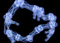 Sci-Fi Slime Robots Made Real: SNU Scientists Create Next-Gen Artificial Muscle with Dynamic Reconfiguration and Self-Healing Abilities