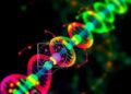Scientists Achieve Breakthrough in Visualizing Gene Transcription Like Never Before — Biology