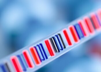 Shallow Sequencing: Pros and Cons for Strain Analysis