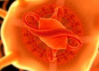 Texas A&M Study Brings Humans One Step Closer to Regrowing Tissue