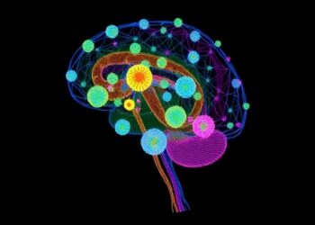 The Physics Behind Brain Development: How Cells Collaborate to Shape the Neural Tube