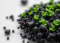 Transforming Microalgae into Premium Fuels: Biochar Catalyst Enables Cleaner Aromatic Synthesis