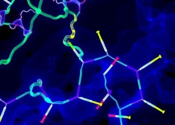 Ubiquitination’s Role in Glycogen Metabolism