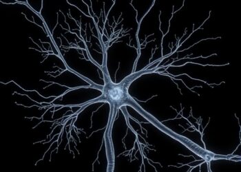 Ultrastructural Study of Dendrites in Seizure Model