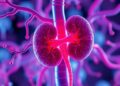 Unveiling Kidney Rejection via Urinary Proteins