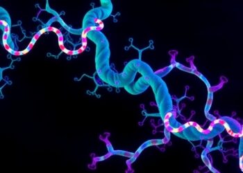 Unveiling Proteins Within Living Cells: Revolutionary Probes Deliver Unmatched Clarity