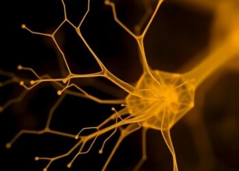 Yeast Model of Premature Aging Uncovers Crucial Impact of Progerin on Cellular Lifespan