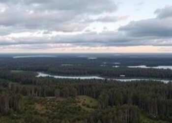 Young Forest Owners in Finland Face Challenges Balancing Their Values