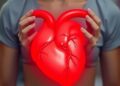 Adults Born Preterm Have Smaller Coronary Arteries — Technology and Engineering