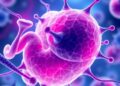 Advances in Neonatal Cell Therapies: 2025 Update — Technology and Engineering