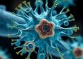 Advancing Drug Development: Chinese Medical Journal Reviews Organoid Models in New Drug Regulation — Biology