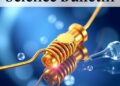 Advancing In Vivo and In Situ Monitoring: Science Bulletin Highlights Host-Based Antifouling Gold Nanotube Sensor for Selective Detection of Mechanically Sensitive Serotonin Release in Intestinal Mucosa — Chemistry