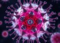 Amplifying Macrophage-Driven Immune Responses — Biology