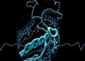 Barua Develops High-Resolution Harmonic Fingerprinting Technique from Sparse Sampling to Disaggregate Complex Cardiovascular Diseases — Technology and Engineering