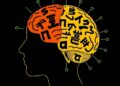 Bilingual Experience Shapes P3b Brainwave Modulations — Technology and Engineering
