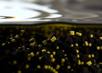 Biochar-Based Material Emerges as a Promising Solution for Uranium Extraction from Seawater — Technology and Engineering