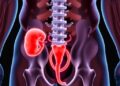Botulinum Toxin Reduces Urinary Retention Post-Hemorrhoidopexy — Technology and Engineering