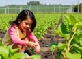 Boyce Thompson Institute Secures USDA Grant to Enhance Youth Education in Plant Biotechnology Across New York — Agriculture