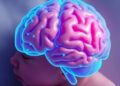 Brain Complexity Enhances Premature Newborns’ Maturity Evaluation — Technology and Engineering