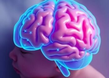 Brain Complexity Enhances Premature Newborns’ Maturity Evaluation — Technology and Engineering
