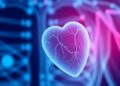 Brano Therapeutics Secures $6.8 Million to Propel Innovative Heart Failure Treatments Forward — Medicine