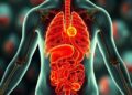 Breakthrough Cancer Treatment Effective Across All Organ Types — Biology