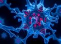 Breakthrough Discoveries from MSK Research – May 26, 2026 — Chemistry
