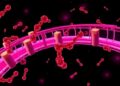 Bridging Biomarker Gaps in VLBW Sepsis Tests — Technology and Engineering