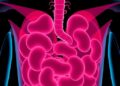 CBC Inflammatory Markers Forecast Risks in Elderly Diarrhea — Technology and Engineering