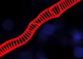 CDS-Localized m6A Triggers RNA Decay to Ease ER Stress — Biology