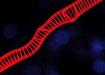 CDS-Localized m6A Triggers RNA Decay to Ease ER Stress — Biology