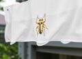 Cellulose Aerogel Inspired by White Beetles Enables Passive Daytime Cooling — Chemistry