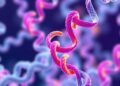 Charting a Path to Safer and More Transparent AI in Protein Design — Technology and Engineering