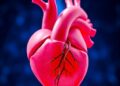 Congenital Heart Disease’s Lasting Impact on Brain Health — Technology and Engineering
