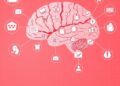 Contextual Elaboration Influences Memory Despite Childhood Adversity — Technology and Engineering