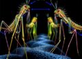 Controllable Phage System Bridges Evolutionary Gaps — Biology