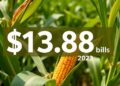Corn Disease Outbreaks Result in $13.8 Billion Loss for Farmers Between 2020 and 2023 — Agriculture