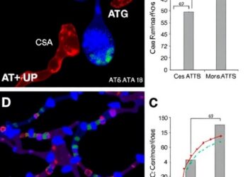CsA+ATG Outperforms CsA Alone in Pediatric Aplasia — Technology and Engineering