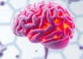Cutting-Edge Genomic Techniques Reveal Unexpected Cellular Changes in the Aging Brain — Biology