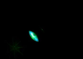 Decoding Darkness: Photoreceptor Functions With and Without Light — Biology