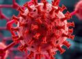 Decoding p53 Vulnerability: Unraveling Why the Genome Guardian Often Fails — Biology