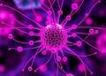 Decoding the Mechanisms Behind Collective Cell Movement — Biology