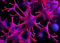Decoding the Tumor Microenvironment Chemokine Network: From Immune Evasion to Innovative Multi-Target Therapies — Biology