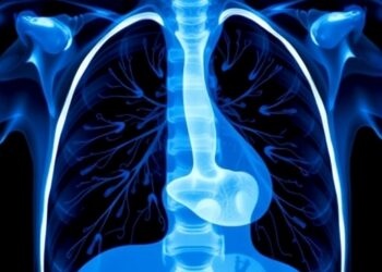 Dimethyl Fumarate Eases Experimental Bronchopulmonary Dysplasia — Technology and Engineering
