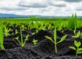 Engineered Biochar Showcased at International Forum for Carbon Capture and Resource Recovery — Technology and Engineering