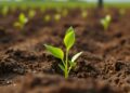 Exploring Soil Science: How AI Could Revolutionize the Protection of a Crucial Global Resource — Frontiers in Science Deep Dive Webinar Series — Agriculture