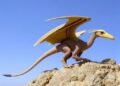 Feathered Dragon Reveals Record-Breaking Long Tail Feathers Among Fossil Birds — Biology