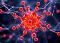 Force-Free Molecular Dynamics via Equivariant Networks — Technology and Engineering