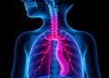 Frequent Lung Flare-Ups in Children with Repaired Esophageal Atresia — Technology and Engineering