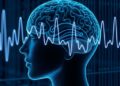 From EEG to Depression Severity: Novel Deep Learning — Technology and Engineering